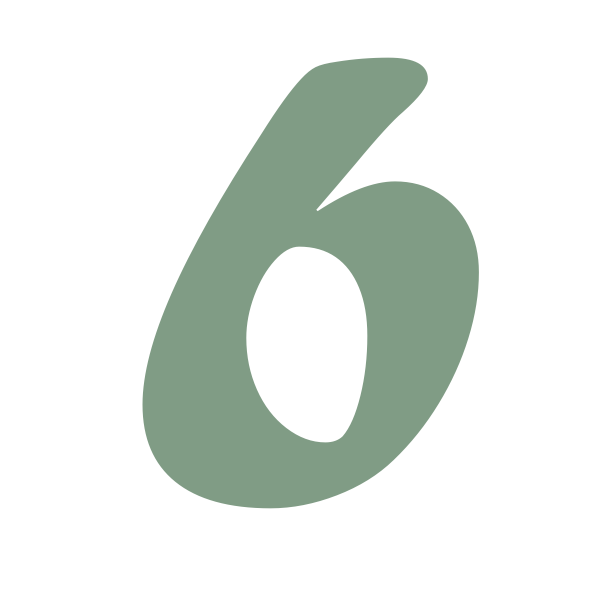 número 6